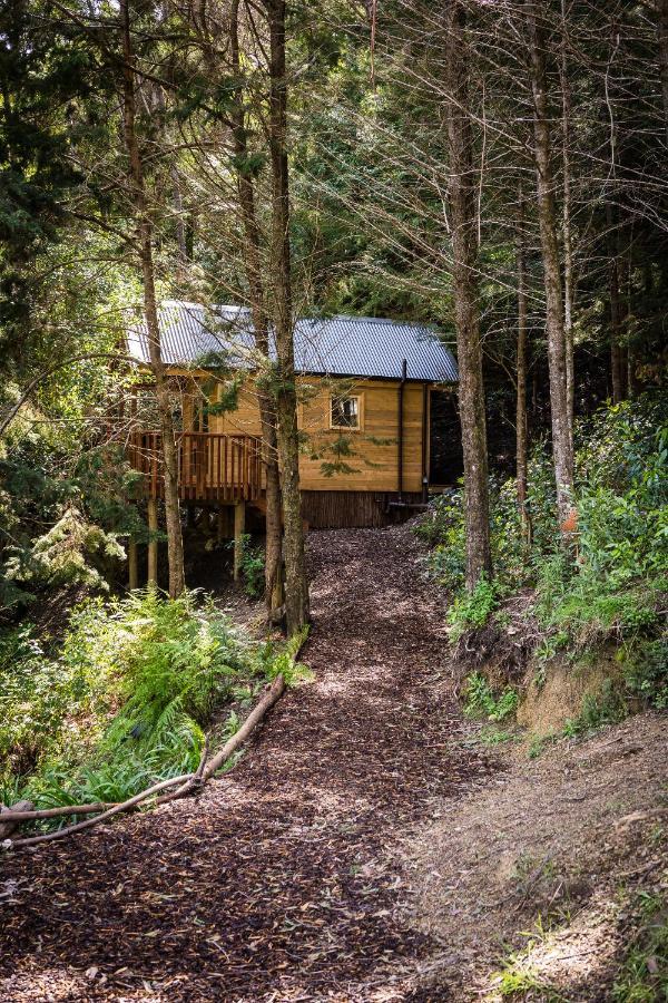 Maitai Whare Iti - Adventure Cabins & House Нельсон Екстер'єр фото